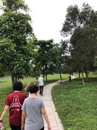 Wetlands, which is part of the water retention pond, designed to provide walking trails. Alam Alam Central Park Walk Shah Alam Selangor Malaysia Pacer