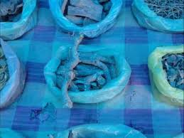 Image result for Floscopa leiothyrsa