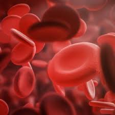 Evitati sau consumati numai in cantitati mici inr normal depinde de motivul pentru care aveti nevoie de anticoagulante. Inr Valori Normale Divahair Ro