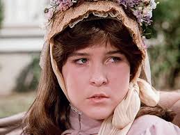 The Illustrated Little House