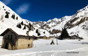 Case Di Viso Con Bimbi E Cani A Ponte Di Legno Babytrekking