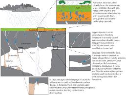 The darkness of the cave eliminates their need for sight. Solution Caves Caves And Karst U S National Park Service