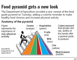 Outlook Office Skype Bing Breaking News And Latest Videos Food Pyramid Pyramids Food Guide