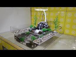 Aquarium Kura Kura How To Make A Turtle Aquarium Youtube