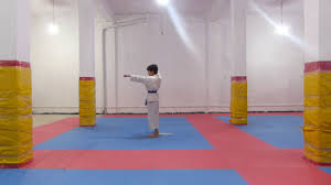 Cossus kossai is een vlinder uit de familie van de houtboorders (cossidae). Maatka Kossai Bassaidai Youtube