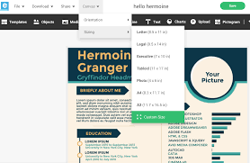 Pixel density would be 53 pixels/mm or 1350 pixels/inch (dpi). Guide To Infographic Size And Dimensions A Cheat Sheet