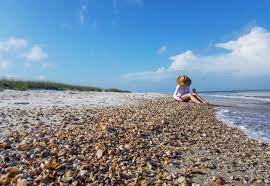 Hurricane michael was so powerful that when it hit the florida panhandle last fall, it tore a state park in two. T H Stone Memorial St Joseph Peninsula State Park Florida State Parks