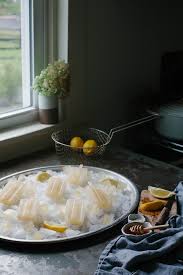 Labor Aid Electrolyte Popsicles A Daily Something