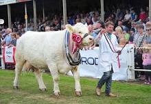 Turriff Show
