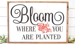 Download Bloom Where You Are Planted Garden Graphic By Farmstone Studio Designs Creative Fabrica PSD Mockup Templates