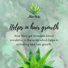 Aloe vera contains essential vitamins that help to strengthen weak hair strands, keep your hair looking rich and shiny, and also creates a good environment for increased hair growth. Facebook