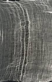 Bildergebnis für Maria Laet