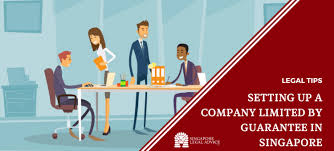 Company limited by guarantee definition: Setting Up A Company Limited By Guarantee In Singapore Singaporelegaladvice Com