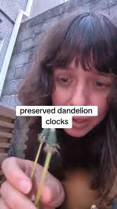 Create a Beautiful Dandelion Puff Terrarium