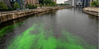 223 likes · 17 talking about this · 5 were here. Extinction Rebellion Umweltaktivisten Farben Spree In Berlin Grun