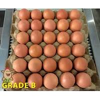 Check spelling or type a new query. Jual Telur Ayam Di Medan Harga Terbaik Dari Supplier Dan Distributor