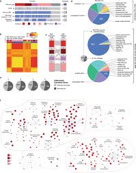Antara pelakon drama lafazkan kalimah cintamu ini adalah nelydia senrose, farid kamil, nadiyah shahab, adriana adnan, farez ridzwan, imam… The Transcriptional Landscape Of Shh Medulloblastoma Nature Communications