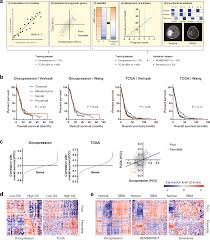 Transcriptome Profiling Based Identification Of Prognostic