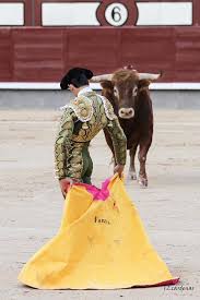 El Mundo De Los Toros Toros Y Toreros Toros De Lidia Toros Bravos