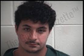 Dillon Baldowski : https://thegeorgiagazette.com/henry/dillon-baldowski-2/