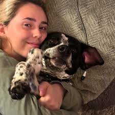 Atticus & Merlin Howard (@the_woof_woof_meows) • Instagram photos and videos