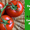 Place whole or sliced tomatoes on a baking sheet and put the sheet into the freezer. Https Encrypted Tbn0 Gstatic Com Images Q Tbn And9gcszhix Vkebvh7epa95od8hajtfimtm6w6myivp6nrg8oh1xgi1 Usqp Cau