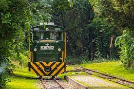 Rövid távolságokon, mint között uzsa és debrecen, buszok és telekocsi jó alternatíva a vonat. Masfel Ev Utan Ujra Zakatol A Zsuzsi Vonat Visitdebrecen