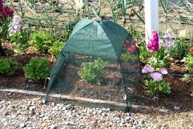 Provide a solid barrier to protect. Nuvue Store Online Shopping In Colombia At Desertcart Co