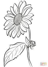 Knit Pants With Bows Sunflower Coloring Pages Sunflower Drawing Sunflower Sketches