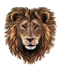 Lion Face Clipart Free Download Vector Psd And Stock Image Download as svg vector, transparent png, eps or psd. lion face clipart free download