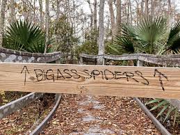 Chris Bartnik (@chrisbartnik) • Instagram photos and videos