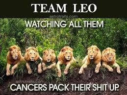 Birthday Coming Up Meme Leo Leo Season Memes Team Leo Watching All Them Cancers Pack Their Shit Leo Season Memes Leo Season Leo Birthday Month