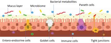 Check spelling or type a new query. Efeedlink What Poultry Producers Should Know About Endotoxins