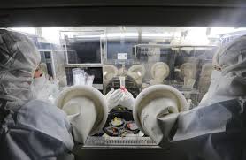 Japanese association for animal cell technology. Japan Faces New Competition In The Race For Regenerative Medicine Nikkei Asia