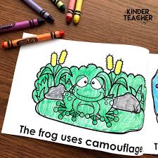 Animals In Camouflage Printable Booklet Kindergarten Books Kindergarten Activities Animal Books