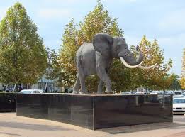 Mr rodney wainstein comes in the picture because he's the owner of zenprop property holdings which is the same company that is partly the owner of maponya mall. Maponya Mall Soweto 2021 All You Need To Know Before You Go With Photos Tripadvisor