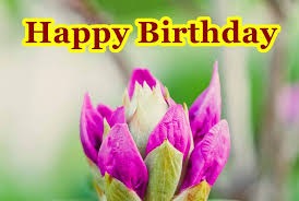 Make your dad proud of you with the happy birthday dad quotes from daughter. 50 Of The Happy Birthday Flowers The Best Collection Dreams Quote