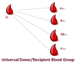 Blood Types Chart Things You Must Know About Blood Group