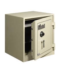 We did not find results for: Safes Cataract Safe Lock
