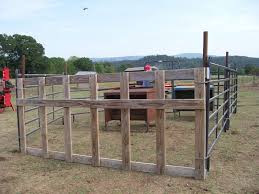 Image Result For Diy Calf Creep Feeder Feeder Cattle Cattle Feeder Cattle