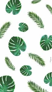 Feel free to share with your friends and. Pin Oleh Nika House Di Green Lukisan Bunga Lukisan Kaktus Fotografi Abstrak