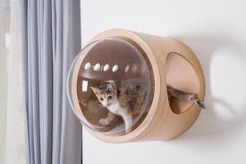 Looking for the best cat bed for your furry friend? Myzoo Spaceship Gamma Oak Wall Mounted Cat Bed