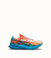 They both belong to the same family line. Asics Novablast Sneakers Color Orange Light Blue Playground