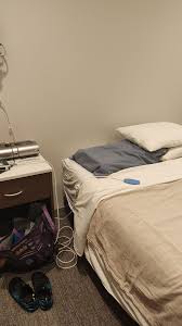 Ben Volkmann (@kiltedpaws) • Instagram photos and videos