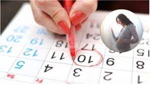 Kalkulator masa subur adalah salah satu cara menghitung masa subur setelah haid. Sajaheboh Com Cara Mengira Waktu Subur Untuk Cepat Hamil Saja Heboh