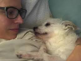 James and I said goodbye to our sweet Nugget today. I met Nugget when he  was just 6 weeks old, and he was with us for almost 15 years. He was good