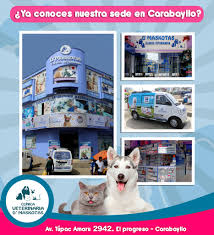 Clínica Veterinaria Maskotas