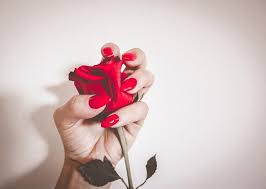 World elder abuse awareness day is celebrated every year on june 15, this day was started by the united nations world health organization in 2001. Happy Rose Day Quotes Images Sms Best Status Shayari My Love