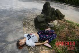 Chinese woman stabbed to death in city park • GoreCenter