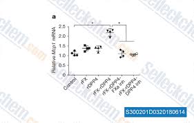Factor xa protease consists of two polypeptides. Factor Xa Xa Factor
